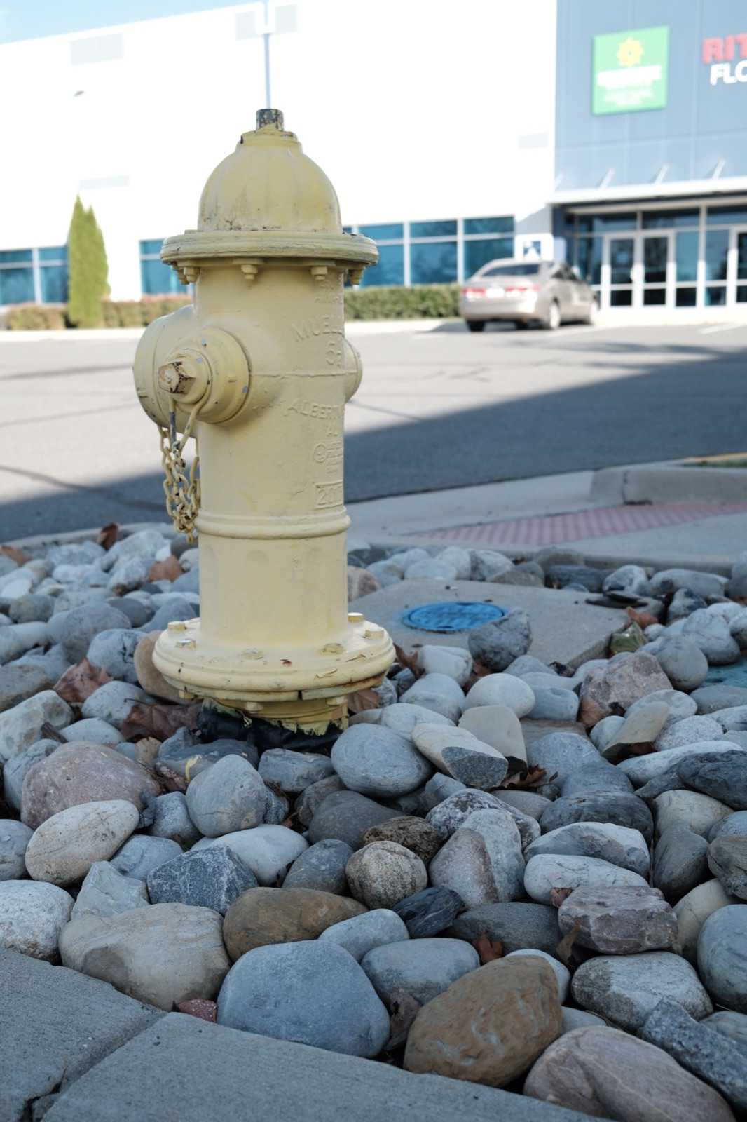 Yellow fire hydrant on a bed of river rocks outside an industrial building